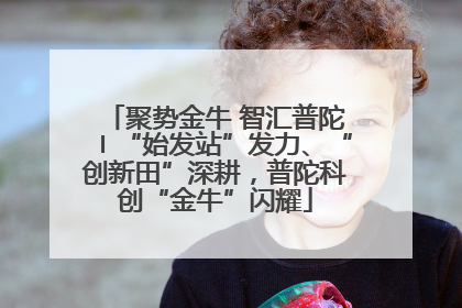 聚势金牛 智汇普陀〡“始发站”发力、“创新田”深耕，普陀科创“金牛”闪耀