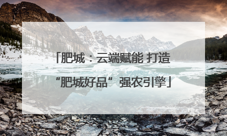 肥城：云端赋能 打造“肥城好品”强农引擎
