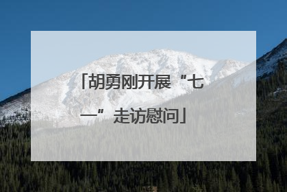 胡勇刚开展“七一”走访慰问