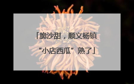 脆沙甜，顺义杨镇“小店西瓜”熟了