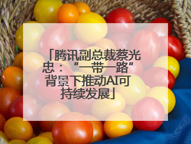 腾讯副总裁蔡光忠：“一带一路”背景下推动AI可持续发展