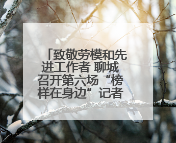 致敬劳模和先进工作者 聊城召开第六场“榜样在身边”记者见面会