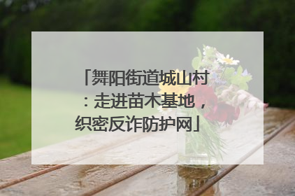舞阳街道城山村：走进苗木基地，织密反诈防护网