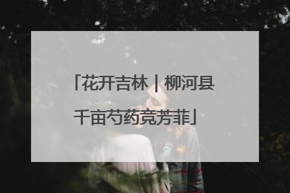 花开吉林｜柳河县千亩芍药竞芳菲
