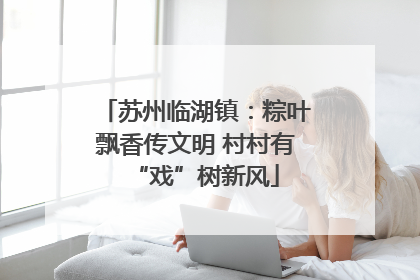 苏州临湖镇：粽叶飘香传文明 村村有“戏”树新风