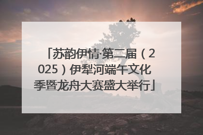 苏韵伊情·第二届（2025）伊犁河端午文化季暨龙舟大赛盛大举行