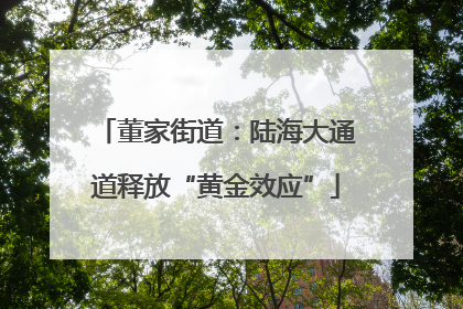 董家街道：陆海大通道释放“黄金效应”