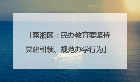 蒸湘区：民办教育要坚持党建引领、规范办学行为