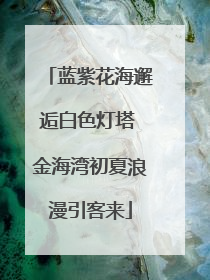 蓝紫花海邂逅白色灯塔 金海湾初夏浪漫引客来