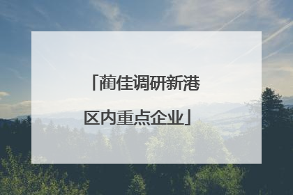 蔺佳调研新港区内重点企业