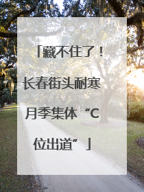 藏不住了！长春街头耐寒月季集体“C位出道”