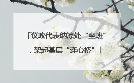 议政代表纳凉处“坐班”，架起基层“连心桥”