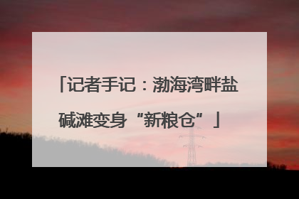 记者手记：渤海湾畔盐碱滩变身“新粮仓”