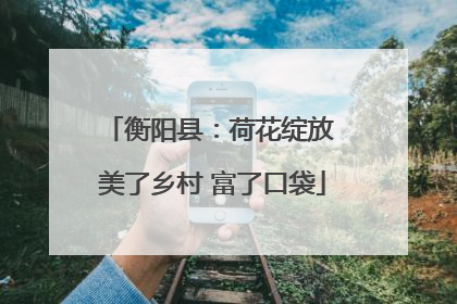 衡阳县：荷花绽放 美了乡村 富了口袋