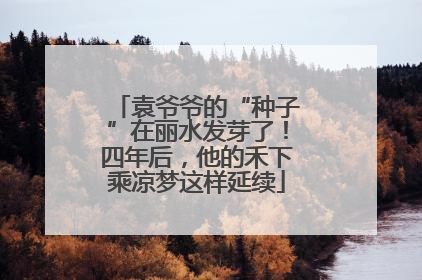 袁爷爷的“种子”在丽水发芽了！四年后，他的禾下乘凉梦这样延续