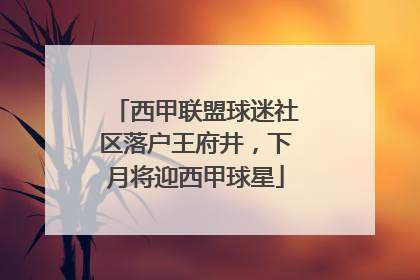 西甲联盟球迷社区落户王府井，下月将迎西甲球星