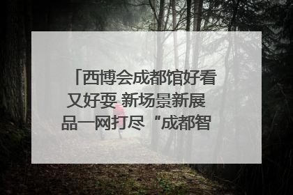 西博会成都馆好看又好耍 新场景新展品一网打尽“成都智造”｜西博视界