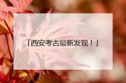 西安考古最新发现！