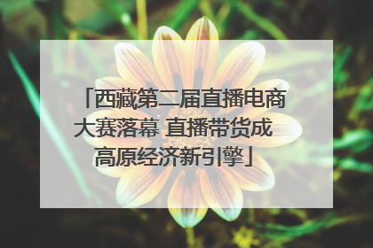 西藏第二届直播电商大赛落幕 直播带货成高原经济新引擎