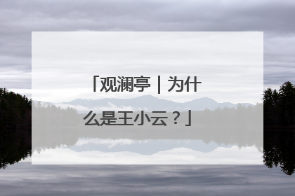 观澜亭｜为什么是王小云？