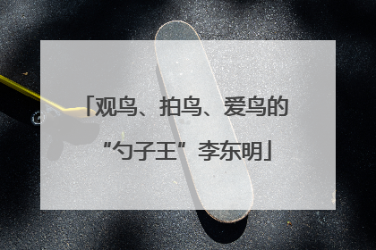 观鸟、拍鸟、爱鸟的“勺子王”李东明