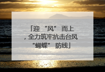 迎 “风” 而上，全力筑牢抗击台风 “蝴蝶” 防线