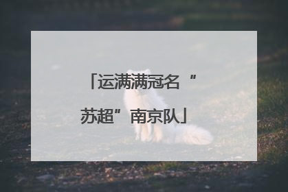 运满满冠名“苏超”南京队
