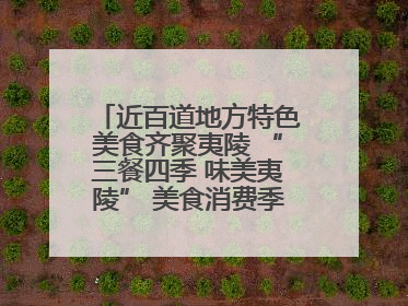 近百道地方特色美食齐聚夷陵 “三餐四季 味美夷陵” 美食消费季沸腾夏夜