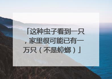 这种虫子看到一只，家里很可能已有一万只（不是蟑螂）