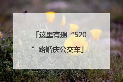 这里有趟“520”路婚庆公交车