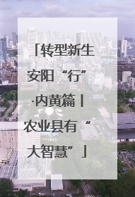 转型新生安阳“行”·内黄篇丨农业县有“大智慧”