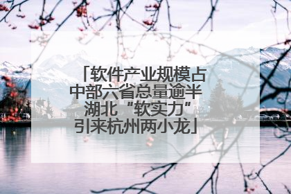 软件产业规模占中部六省总量逾半 湖北“软实力”引来杭州两小龙