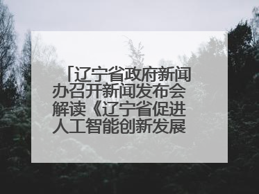 辽宁省政府新闻办召开新闻发布会解读《辽宁省促进人工智能创新发展实施方案》