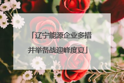 辽宁能源企业多措并举备战迎峰度夏
