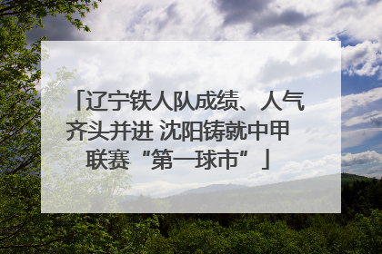 辽宁铁人队成绩、人气齐头并进 沈阳铸就中甲联赛“第一球市”