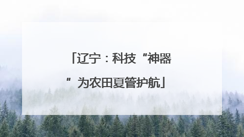 辽宁：科技“神器”为农田夏管护航
