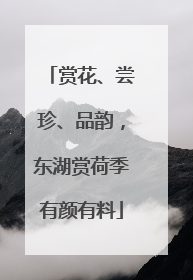 赏花、尝珍、品韵，东湖赏荷季有颜有料