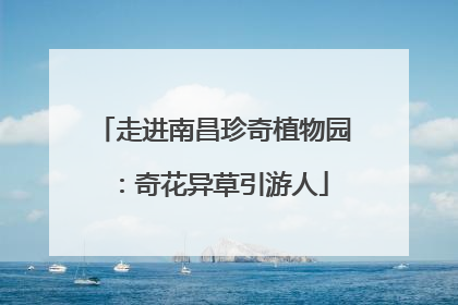 走进南昌珍奇植物园：奇花异草引游人