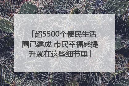 超5500个便民生活圈已建成 市民幸福感提升就在这些细节里