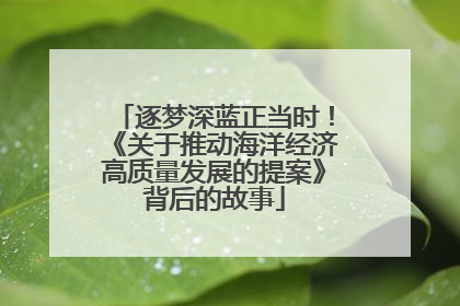 逐梦深蓝正当时！《关于推动海洋经济高质量发展的提案》背后的故事