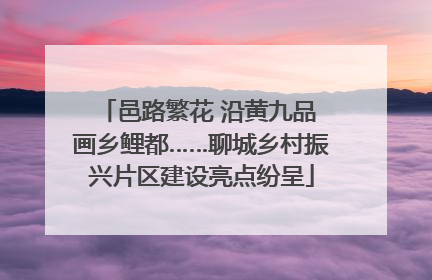 邑路繁花 沿黄九品 画乡鲤都……聊城乡村振兴片区建设亮点纷呈