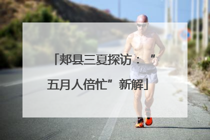 郏县三夏探访：“五月人倍忙”新解