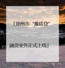 郑州市“豫质贷”融资业务正式上线