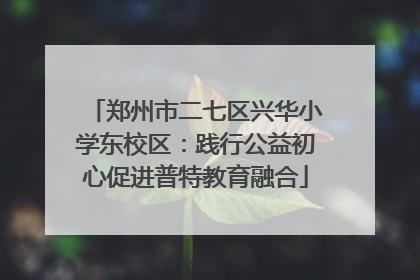 郑州市二七区兴华小学东校区：践行公益初心促进普特教育融合