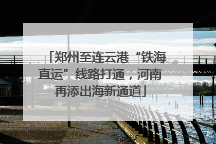 郑州至连云港“铁海直运”线路打通，河南再添出海新通道