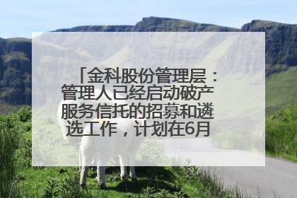 金科股份管理层：管理人已经启动破产服务信托的招募和遴选工作，计划在6月初召开评审会