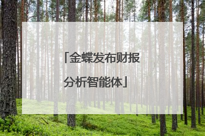 金蝶发布财报分析智能体