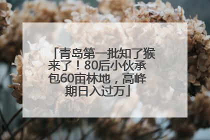 青岛第一批知了猴来了！80后小伙承包60亩林地，高峰期日入过万