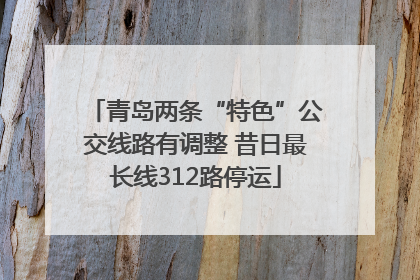 青岛两条“特色”公交线路有调整 昔日最长线312路停运