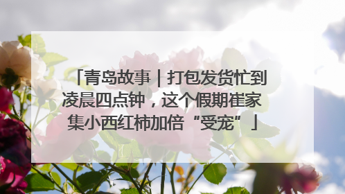 青岛故事｜打包发货忙到凌晨四点钟，这个假期崔家集小西红柿加倍“受宠”
